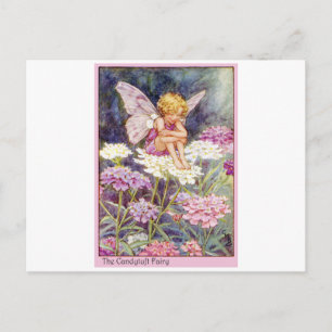 Candytuft Fairy Postcard