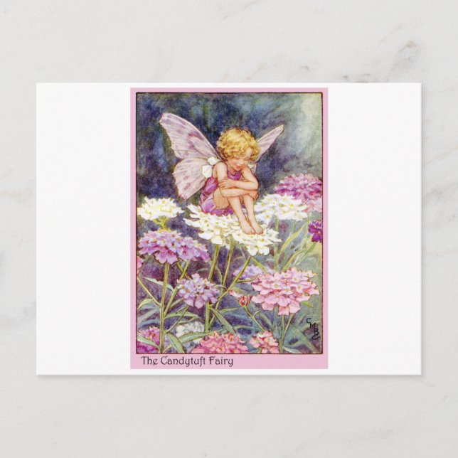 Candytuft Fairy Postcard (Front)