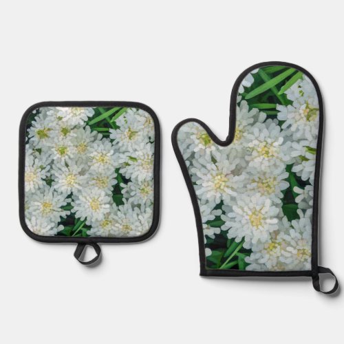 Candytuft White Flower Graphic Art Oven Mitt & Pot Holder Set