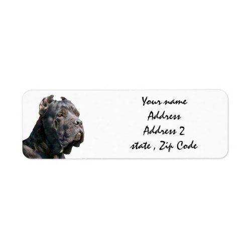 Cane corso address labels