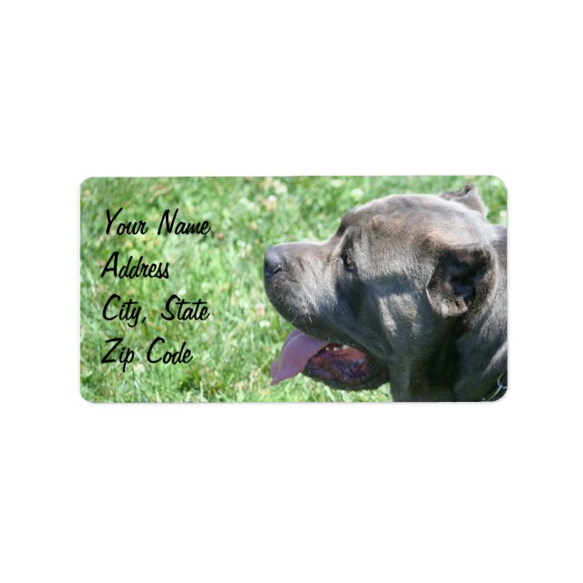 Cane Corso Address labels (Front)