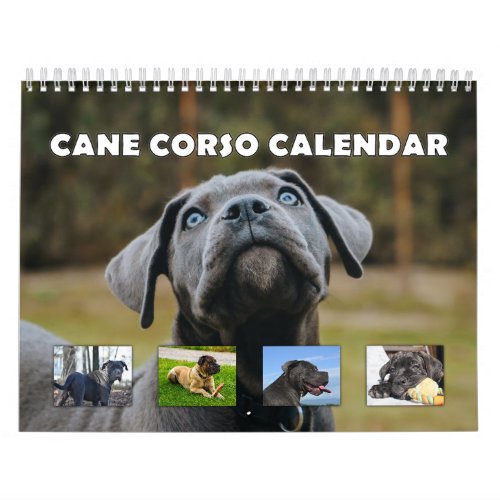 Cane Corso Calendar