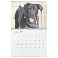 Cane Corso Dog Black  Postcard for Sale by ElegantCat