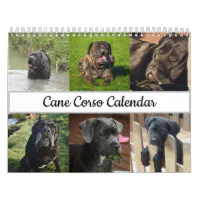 Cane Corso Dog Black  Postcard for Sale by ElegantCat