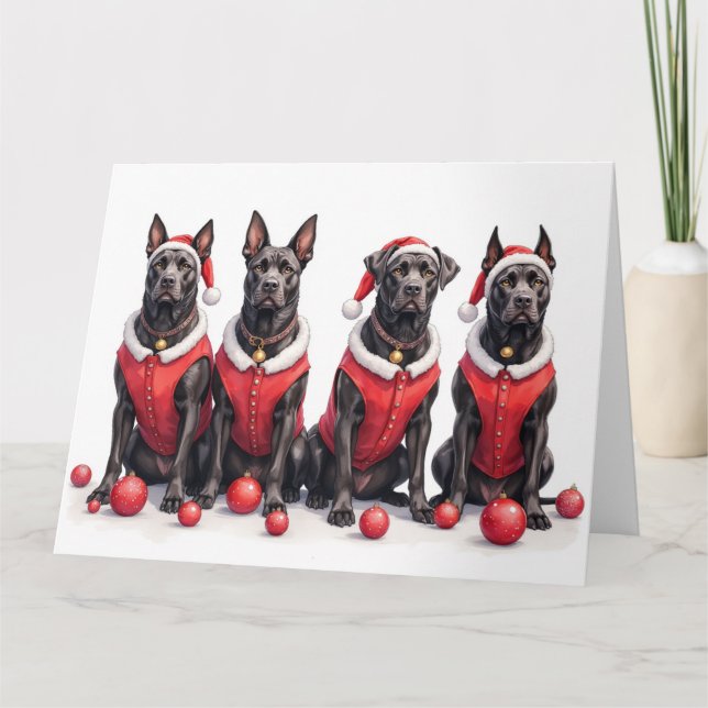 Cane Corso Christmas Dress Santa Hat Card (Front)