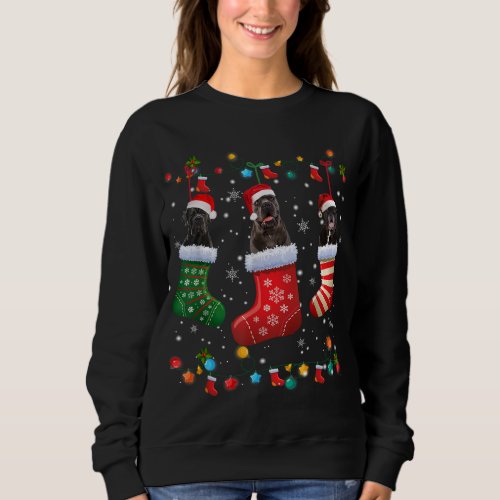 Cane Corso Christmas Socks Funny Pajama Xmas Dog L Sweatshirt