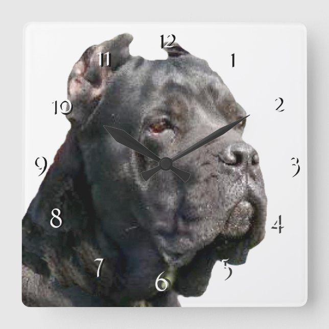 Cane Corso clock (Front)