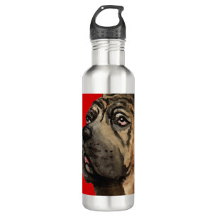 Cane Corso Color Block Water Bottle