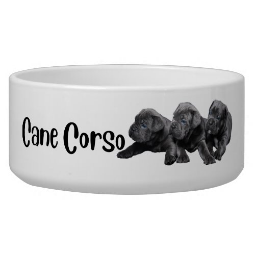 Cane Corso _ dog bowl by breed 
