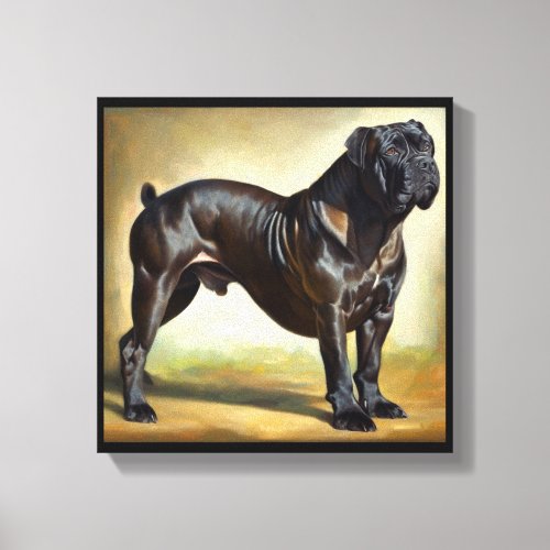 Cane Corso Dog Canvas Print