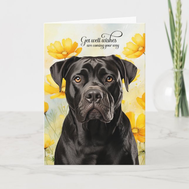 Cane Corso Dog Golden Poppies Get Well Card (Front)