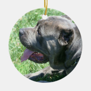 Cane corso dog ornament