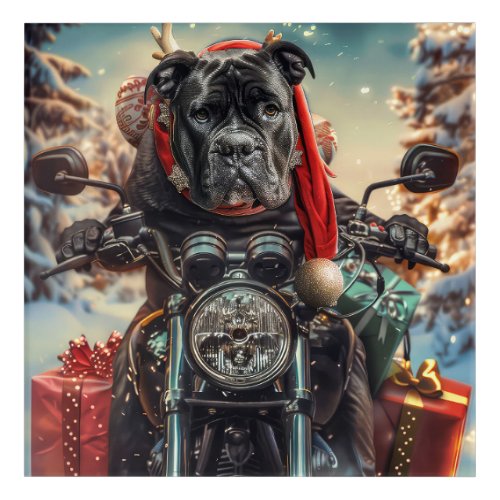 Cane Corso Dog Riding Motorcycle Christmas  Acrylic Print