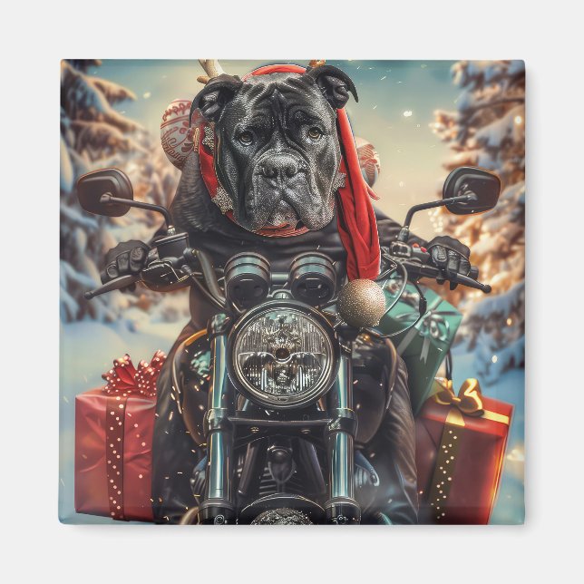 Cane Corso Dog Riding Motorcycle Christmas  Magnet (Front)