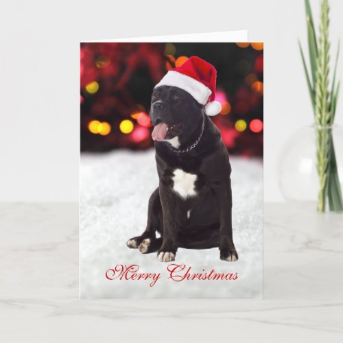 Cane Corso dog santa hat custom Christmas Card