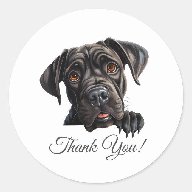 Cane Corso Dog Thank You Classic Round Sticker (Front)