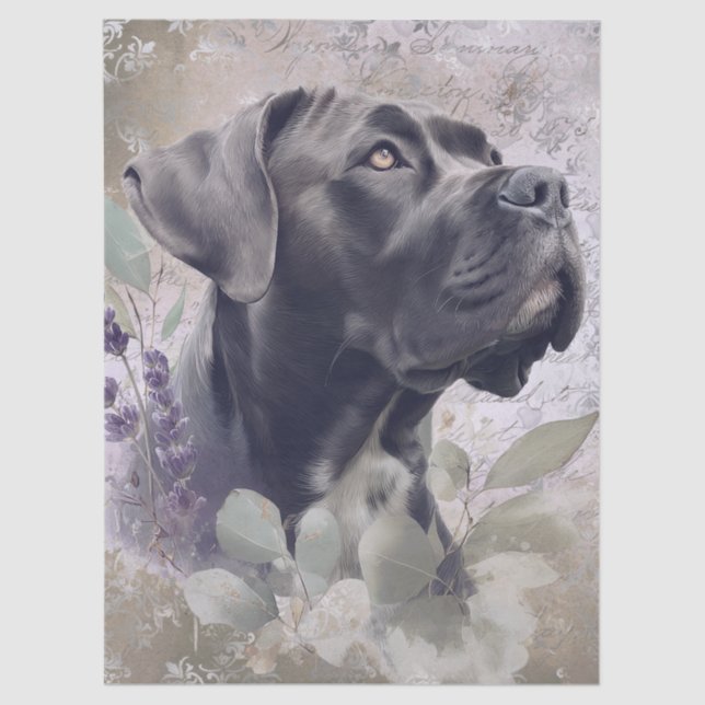 Cane Corso Floral Dog Tissue Paper (Front)