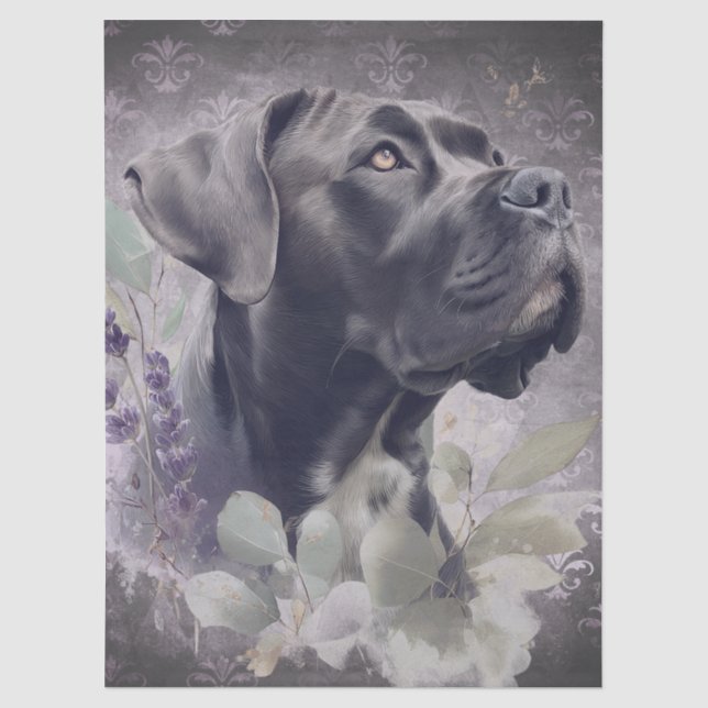 Cane Corso Floral Dog Tissue Paper (Front)