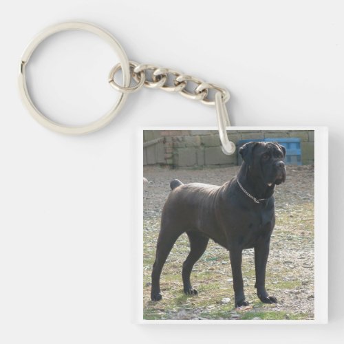 cane corso fullpng keychain