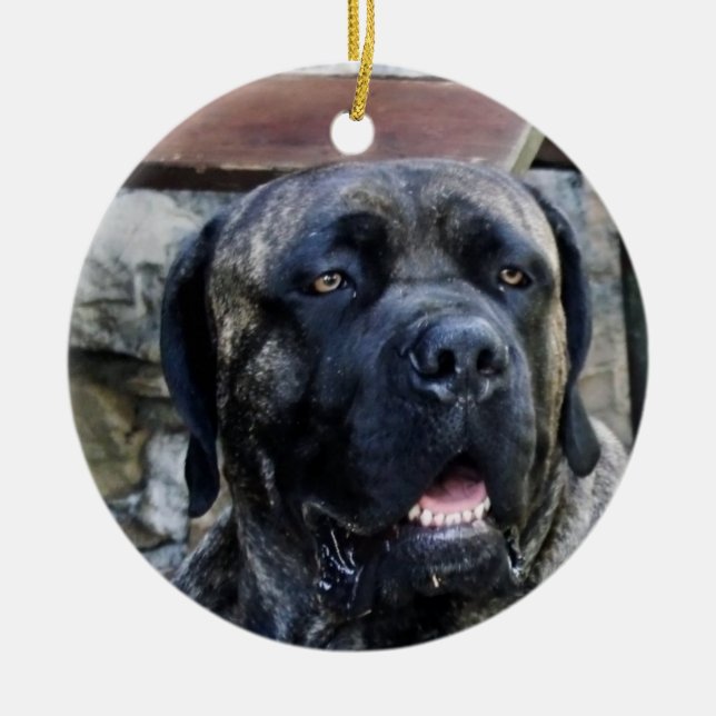 cane corso grey brindle ceramic ornament (Front)