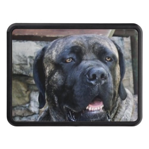 cane corso grey brindle hitch cover
