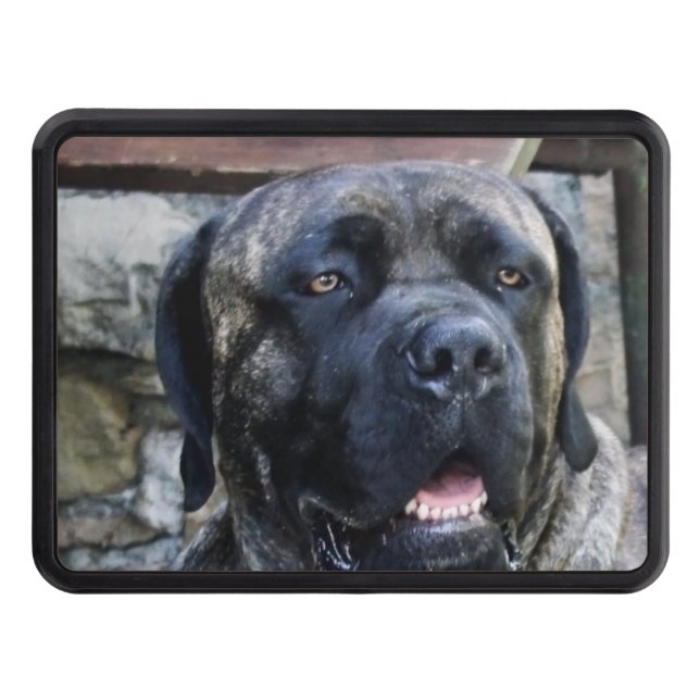 cane corso grey brindle hitch cover (Front)