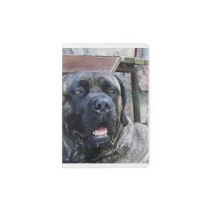 cane corso grey brindle passport holder