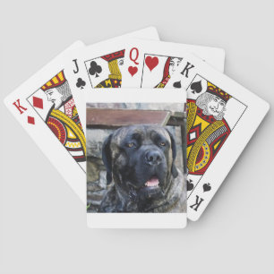 cane corso grey brindle poker cards