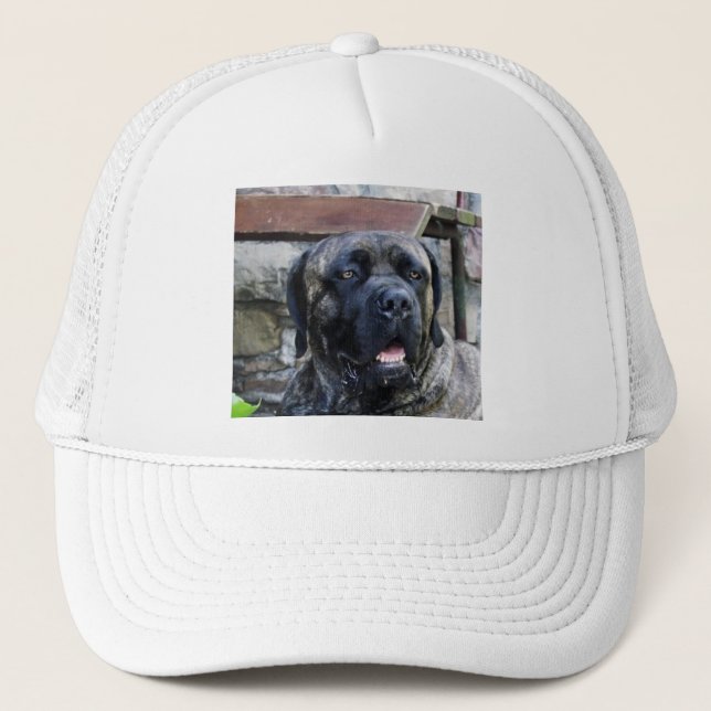 cane corso grey brindle trucker hat (Front)