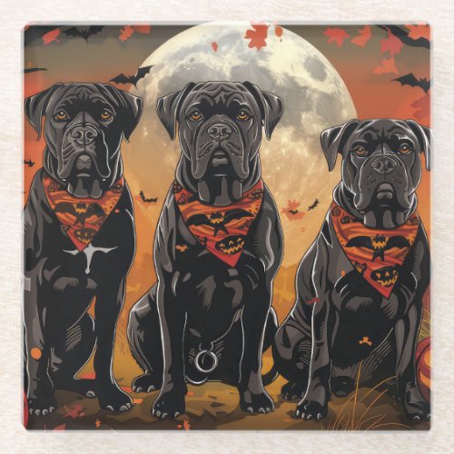 Cane Corso Halloween Spooky Glass Coaster