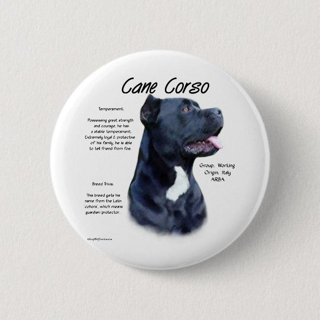 Cane Corso History  Button (Front)