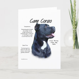 Cane Corso History Holiday Card
