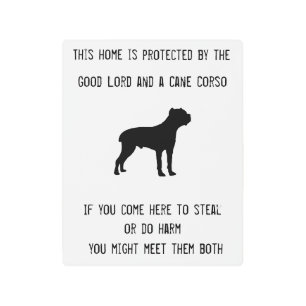 Cane Corso home protection Metal Print