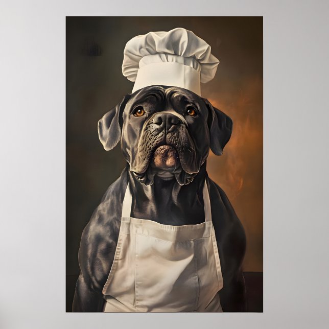 Cane Corso In Chefs Hat Poster, Pet Poster, Cane Poster (Front)
