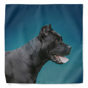 Cane Corso - Italian Mastiff Bandana