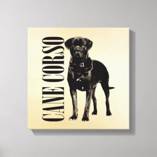 Cane Corso - Italian Mastiff Canvas Print