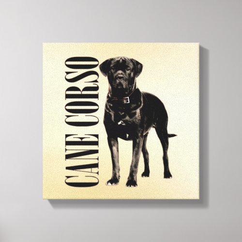 Cane Corso _ Italian Mastiff Canvas Print