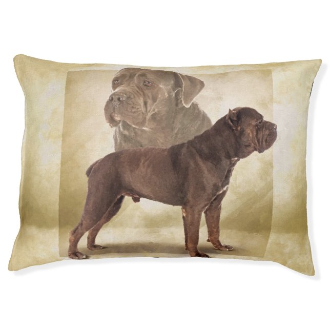 Cane Corso - Italian Mastiff Pet Bed (Front)
