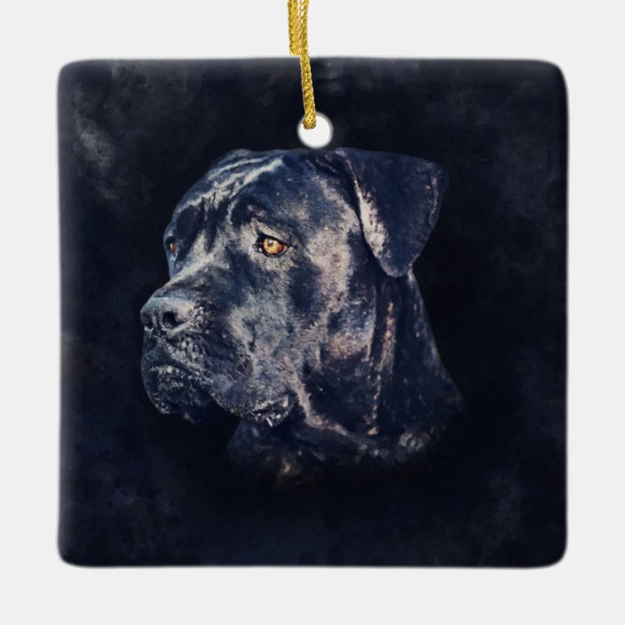 Cane Corso Italian Mastiff Portrait Ceramic Ornament Zazzle Com