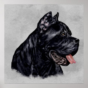 Prada Milano Cane Corso - Fashion Poster – PosterBox