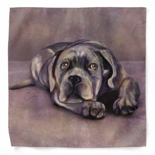 Cane Corso - Italian Mastiff Puppy Bandana