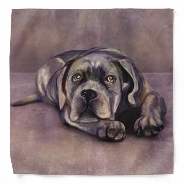 Cane Corso - Italian Mastiff Puppy Bandana (Front)