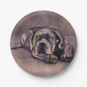 Cane Corso - Italian Mastiff Puppy Paper Plates