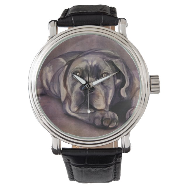 Cane Corso - Italian Mastiff Puppy Watch (Front)