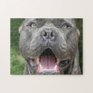 Cane Corso Mastiff Dog Jigsaw Puzzle