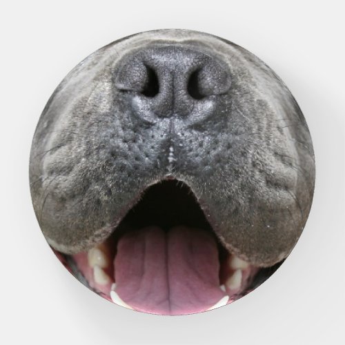 Cane Corso Mastiff Dog Paperweight