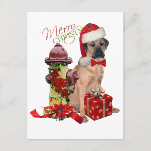 Cane Corso Merry Christmas Holiday Postcard