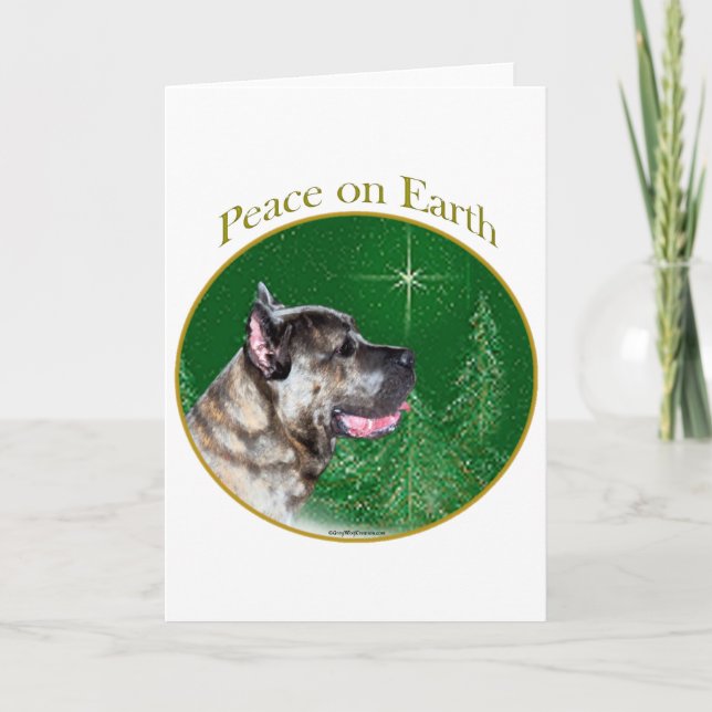 Cane Corso Peace Holiday Card (Front)