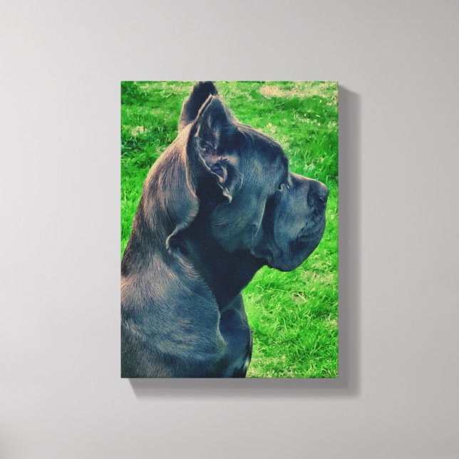 Cane Corso portrait Canvas Print (Front)