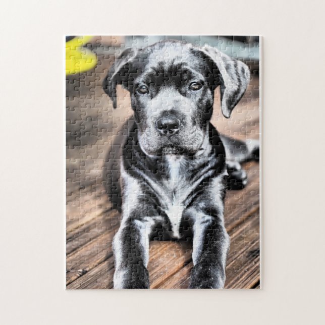 cane corso pup 2.png jigsaw puzzle (Vertical)